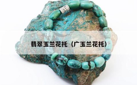 翡翠玉兰花托，广玉兰花托