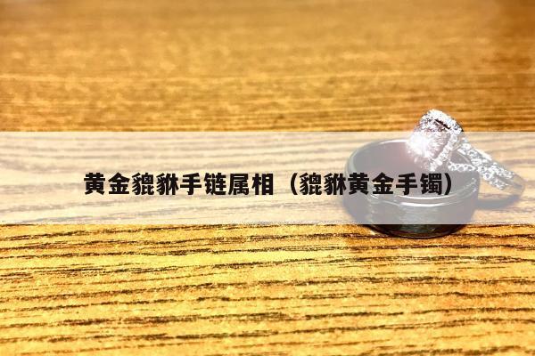 黄金貔貅手链属相，貔貅黄金手镯