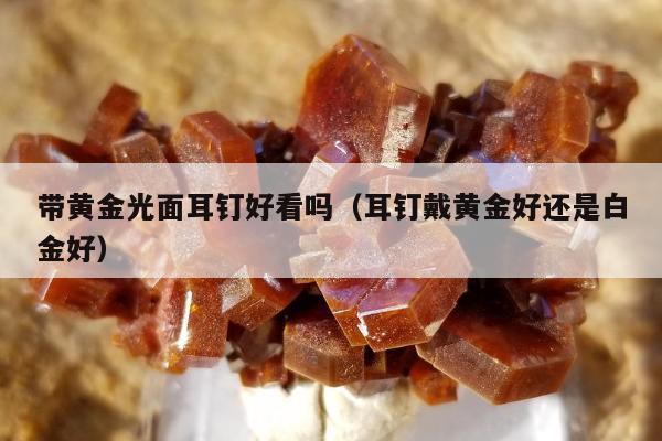 带黄金光面耳钉好看吗，耳钉戴黄金好还是白金好