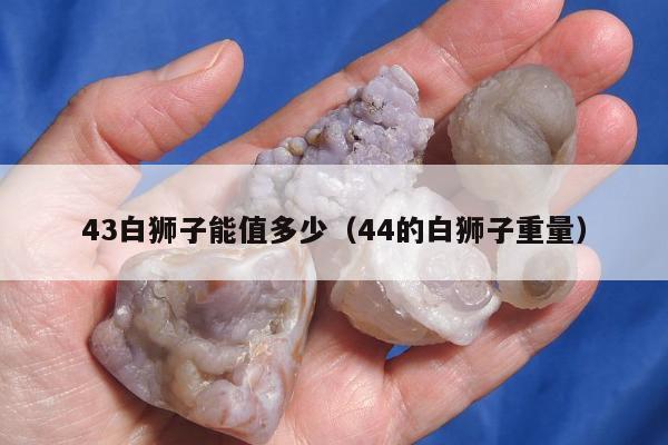 3白狮子能值多少，44的白狮子重量"