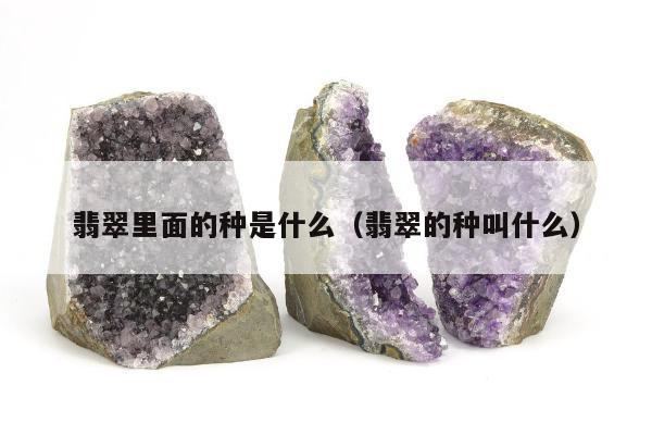 翡翠里面的种是什么，翡翠的种叫什么