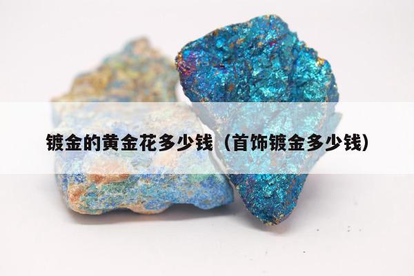 镀金的黄金花多少钱，首饰镀金多少钱