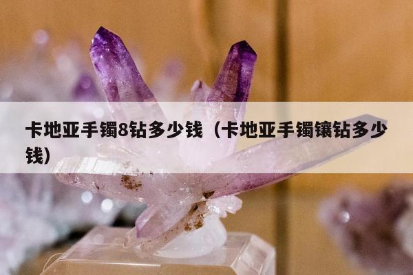 卡地亚手镯8钻多少钱，卡地亚手镯镶钻多少钱