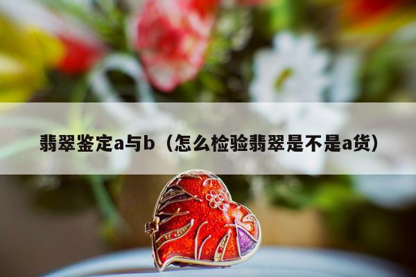翡翠鉴定a与b，怎么检验翡翠是不是a货