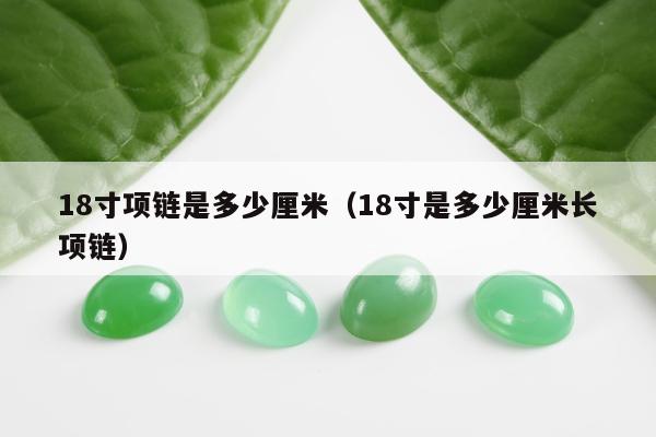 8寸项链是多少厘米，18寸是多少厘米长项链"