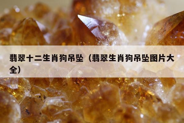 翡翠十二生肖狗吊坠，翡翠生肖狗吊坠图片大全