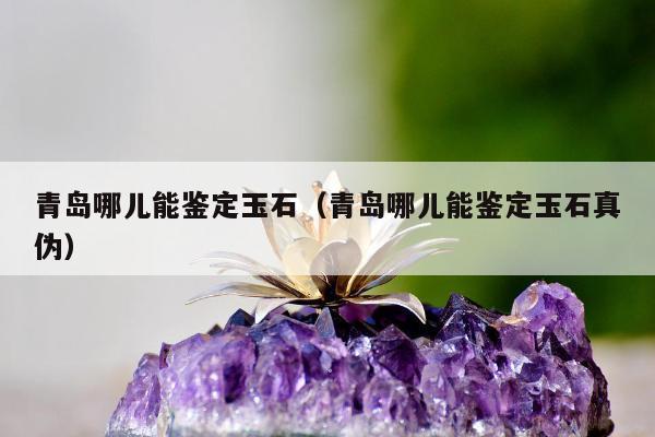 青岛哪儿能鉴定玉石，青岛哪儿能鉴定玉石真伪