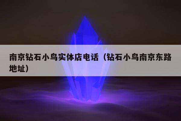 南京钻石小鸟实体店电话，钻石小鸟南京东路地址