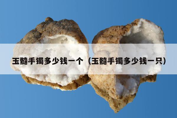 玉髓手镯多少钱一个，玉髓手镯多少钱一只