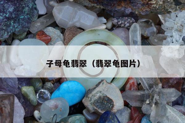 子母龟翡翠，翡翠龟图片