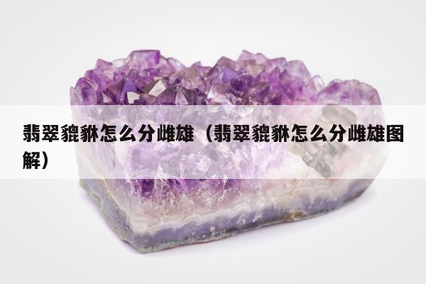 翡翠貔貅怎么分雌雄，翡翠貔貅怎么分雌雄图解