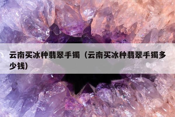 云南买冰种翡翠手镯，云南买冰种翡翠手镯多少钱