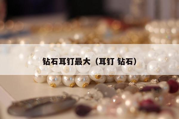 钻石耳钉最大，耳钉 钻石