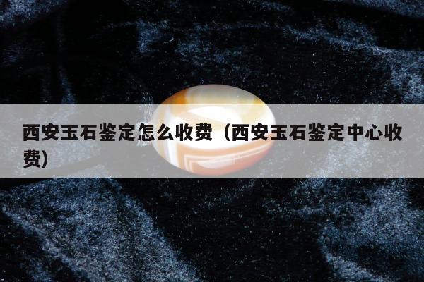 西安玉石鉴定怎么收费，西安玉石鉴定中心收费