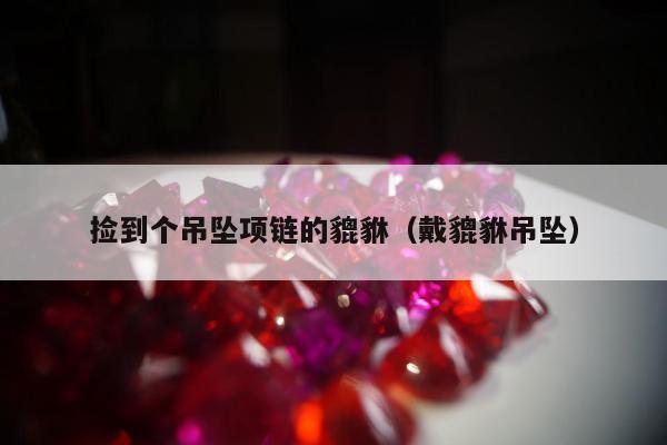 捡到个吊坠项链的貔貅，戴貔貅吊坠