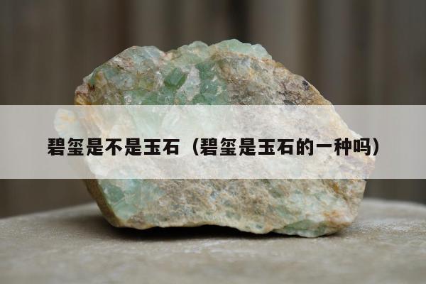 碧玺是不是玉石，碧玺是玉石的一种吗