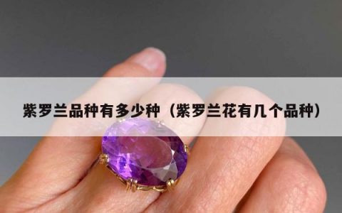 紫罗兰品种有多少种，紫罗兰花有几个品种