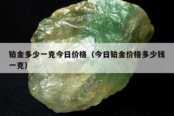 铂金多少一克今日价格，今日铂金价格多少钱一克