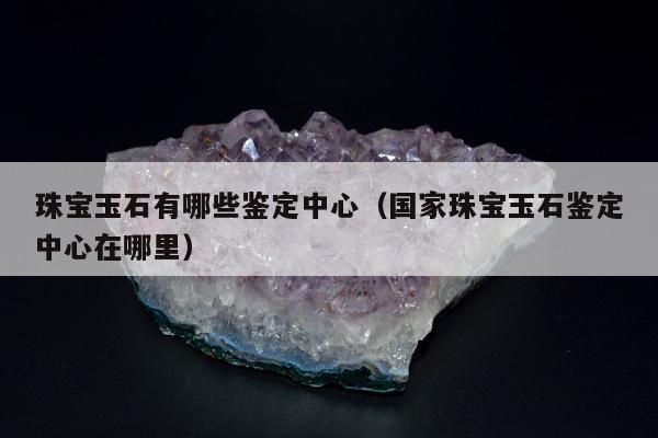 珠宝玉石有哪些鉴定中心，国家珠宝玉石鉴定中心在哪里