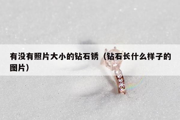有没有照片大小的钻石锈，钻石长什么样子的图片