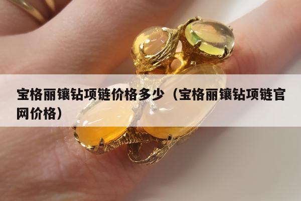 宝格丽镶钻项链价格多少，宝格丽镶钻项链官网价格