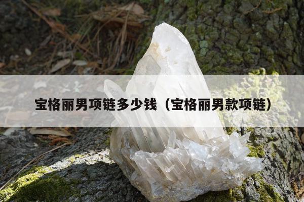 宝格丽男项链多少钱，宝格丽男款项链