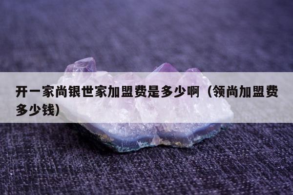 开一家尚银世家加盟费是多少啊，领尚加盟费多少钱
