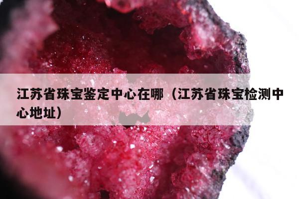 江苏省珠宝鉴定中心在哪，江苏省珠宝检测中心地址