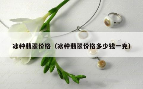 冰种翡翠价格，冰种翡翠价格多少钱一克