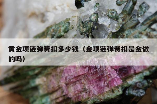 黄金项链弹簧扣多少钱，金项链弹簧扣是金做的吗