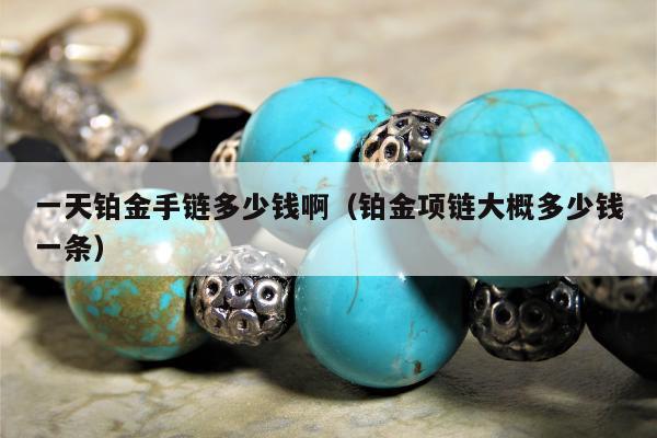 一天铂金手链多少钱啊，铂金项链大概多少钱一条