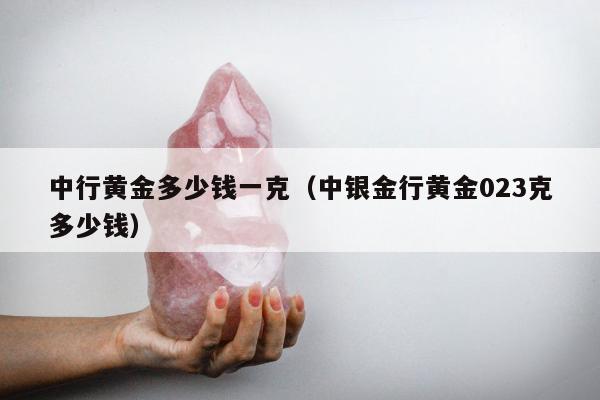 中行黄金多少钱一克，中银金行黄金023克多少钱