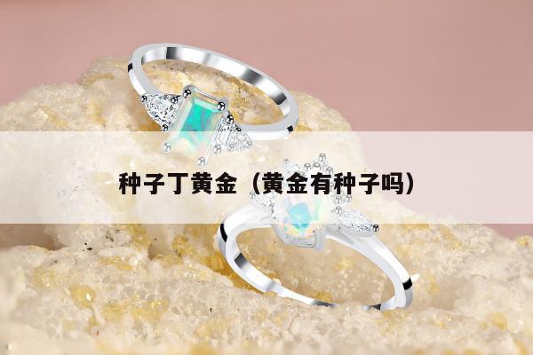 种子丁黄金，黄金有种子吗