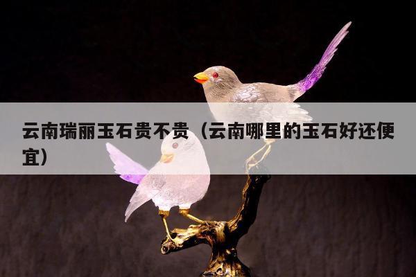 云南瑞丽玉石贵不贵，云南哪里的玉石好还便宜