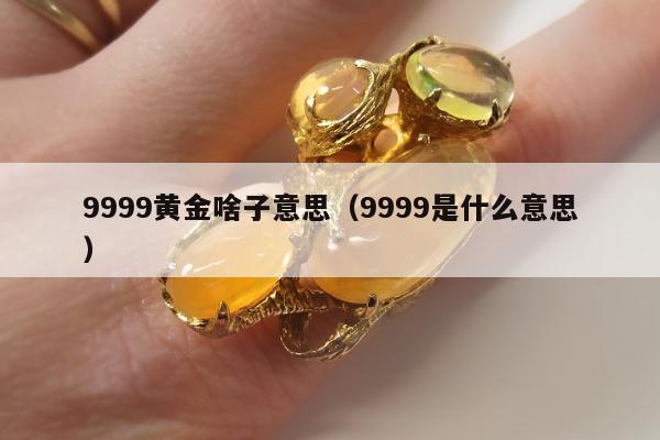 999黄金啥子意思，9999是什么意思"
