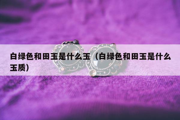白绿色和田玉是什么玉，白绿色和田玉是什么玉质