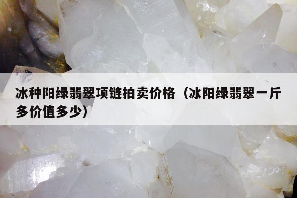 冰种阳绿翡翠项链拍卖价格，冰阳绿翡翠一斤多价值多少