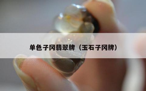 单色子冈翡翠牌，玉石子冈牌