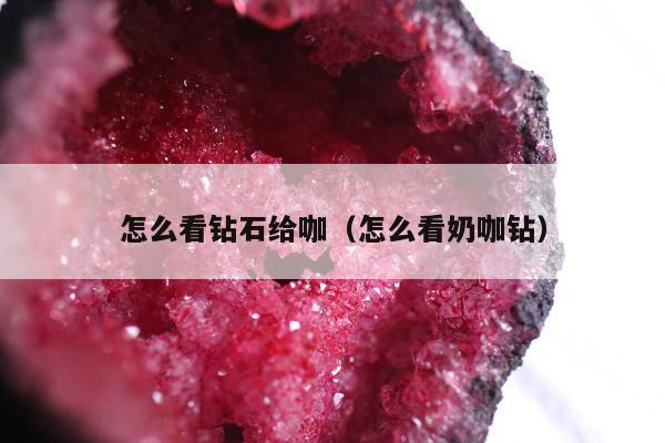 怎么看钻石给咖，怎么看奶咖钻