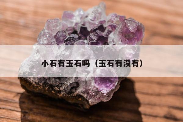 小石有玉石吗，玉石有没有