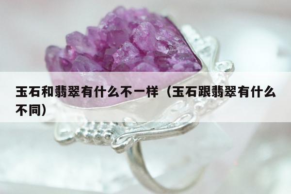 玉石和翡翠有什么不一样，玉石跟翡翠有什么不同