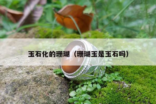 玉石化的珊瑚，珊瑚玉是玉石吗