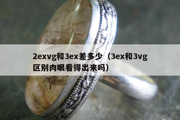 exvg和3ex差多少，3ex和3vg区别肉眼看得出来吗"