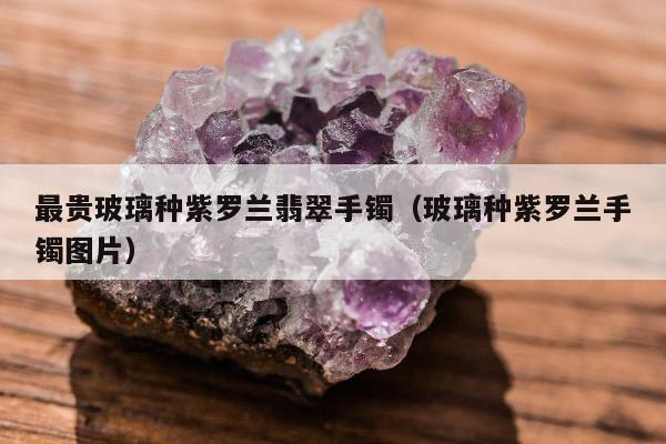 最贵玻璃种紫罗兰翡翠手镯，玻璃种紫罗兰手镯图片
