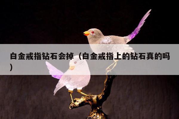 白金戒指钻石会掉，白金戒指上的钻石真的吗