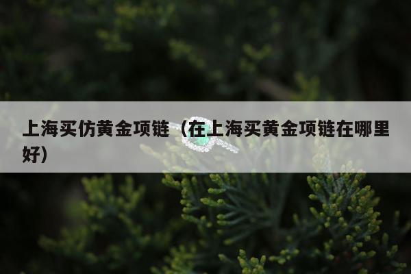上海买仿黄金项链，在上海买黄金项链在哪里好