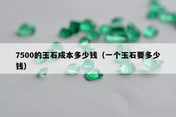 500的玉石成本多少钱，一个玉石要多少钱"