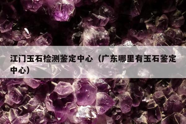 江门玉石检测鉴定中心，广东哪里有玉石鉴定中心
