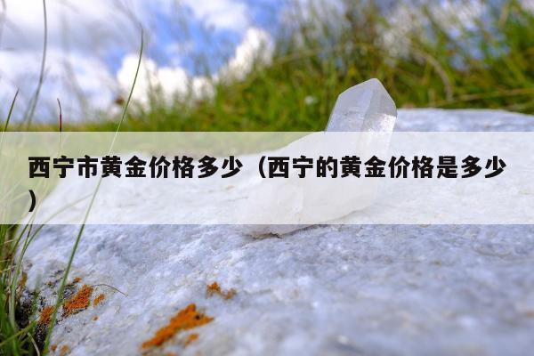 西宁市黄金价格多少，西宁的黄金价格是多少