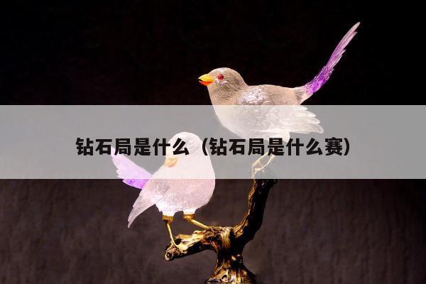 钻石局是什么，钻石局是什么赛